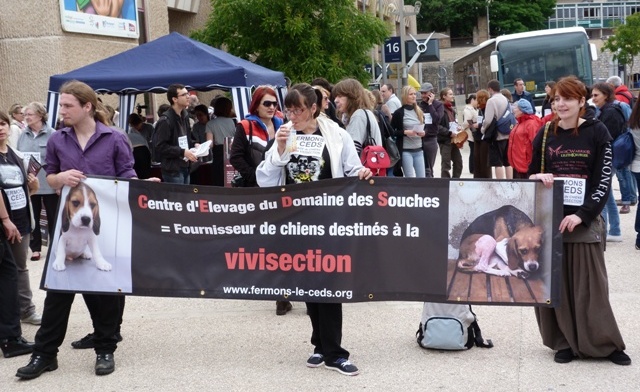 manif ceds 29 Juin 2013